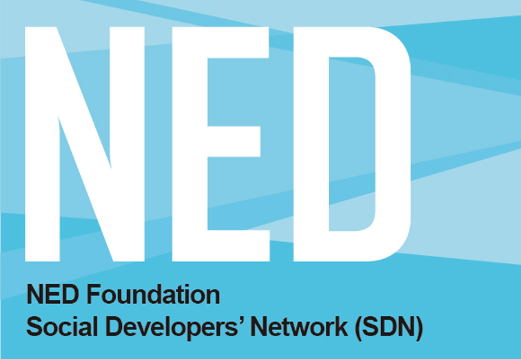 ned foundation2